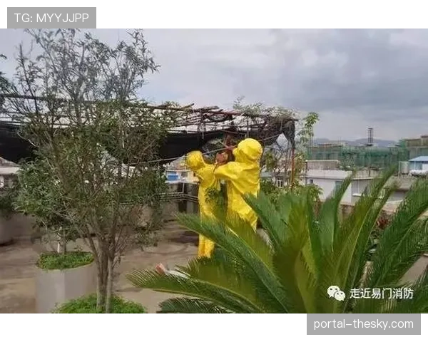 现场播报员因频繁解说“区域”、“换防”、“盯人”而笑称自己“词穷”